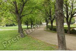 Background Gardens